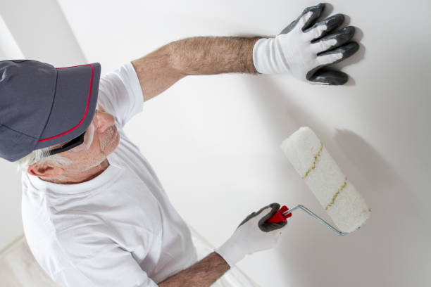 Reliable Ridgeway, AK Mold Removal Solutions