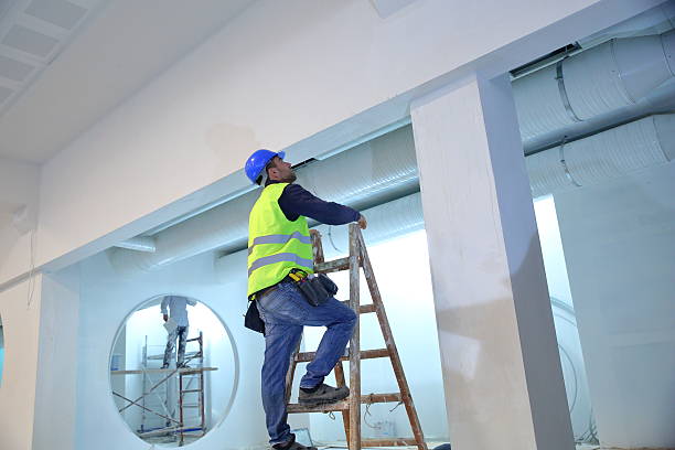Best Attic Mold Removal  in Ridgeway, AK